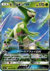 006/060 RR ビリジオンGX