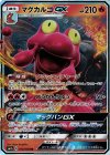012/060 RR マグカルゴGX
