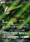 061/060 SR ビリジオンGX
