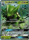 005/050 RR ジュカインGX