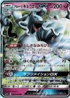 025/050 RR アローラキュウコンGX