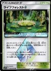 050/050 PR ライフフォレスト◇