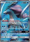 098/095 SR スイクンGX