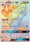 061/052 HR ガオガエンGX