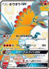 210/150 SSR ホウオウGX