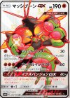 228/150 SSR マッシブーンGX