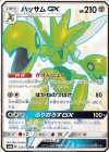233/150 SSR ハッサムGX