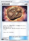  079/095 C なぞの化石 