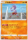  051/095 C バルキー 