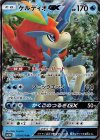 019/054 RR ケルディオGX