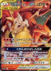 008/064 RR リザードン＆テールナーGX