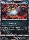  046/064 R アクジキング 