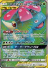 065/064 SR フシギバナ＆ツタージャGX