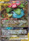 066/064 SR フシギバナ＆ツタージャGX