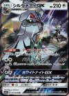 041/049 RR シルヴァディGX