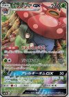 062/049 SR ラフレシアGX