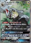 065/049 SR シルヴァディGX