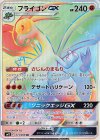 111/095 HR フライゴンGX