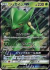 010/173 RR ジュカインGX