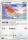 104/173 - ピジョン
