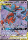 176/173 SR エーフィ＆デオキシスGX