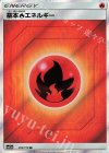 203/173 SR 基本炎エネルギー