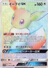219/173 HR イーブイGX