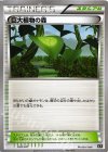 038/041 - 巨大植物の森