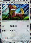  004/SM-P PROMO ヤングース 