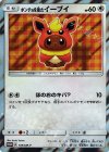 139/SM-P PROMO ポンチョを着たイーブイ