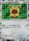 142/SM-P PROMO ポンチョを着たイーブイ