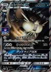 161/SM-P PROMO アローララッタGX