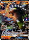216/SM-P PROMO ジガルデGX