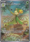  079/078 AR オリーニョ 