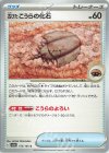  155/165 C 古びたこうらの化石 