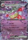  030/071 RR ヤドキングex 