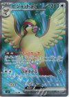 128/108 SR ピジョットex