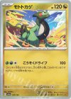  136/190 - モトトカゲ 
