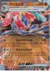  045/066 RR ゲッコウガex 