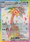  081/064 SR アローラナッシーex 