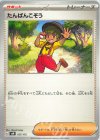  157/175 TD たんぱんこぞう 