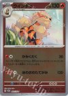  003/SV-P PROMO ウインディ 