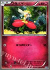  004/014 TD フラベベ 