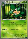  005/060 C ヤナッキー 
