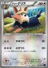 050/060 C ハーデリア