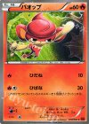 010/060 C バオップ