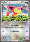 048/060 C エネコ