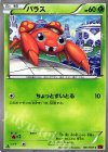  001/059 C パラス 