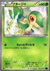 005/078 C ツタージャ
