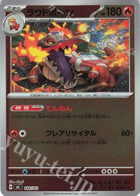 ラウドボーン